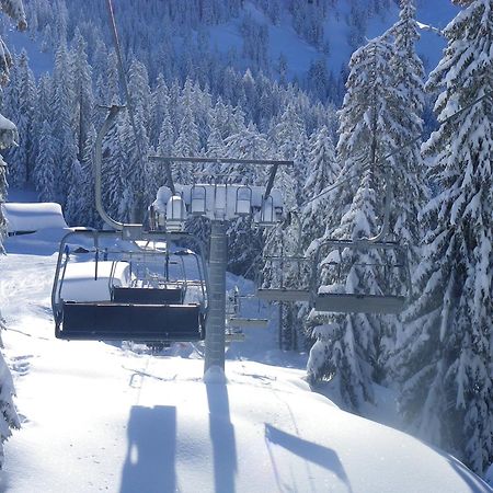 Haus Auni Metzgermeister Westendorf Extérieur photo